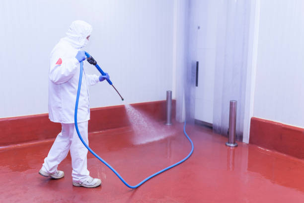 Professional Pressure Washing Services in Burr Ridge, IL
